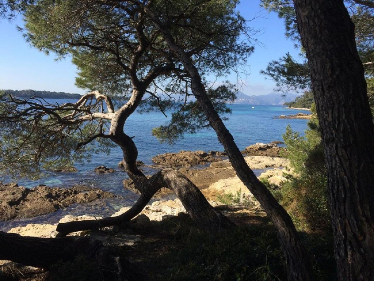 Cannes Design Vue Mer Zewnętrze zdjęcie